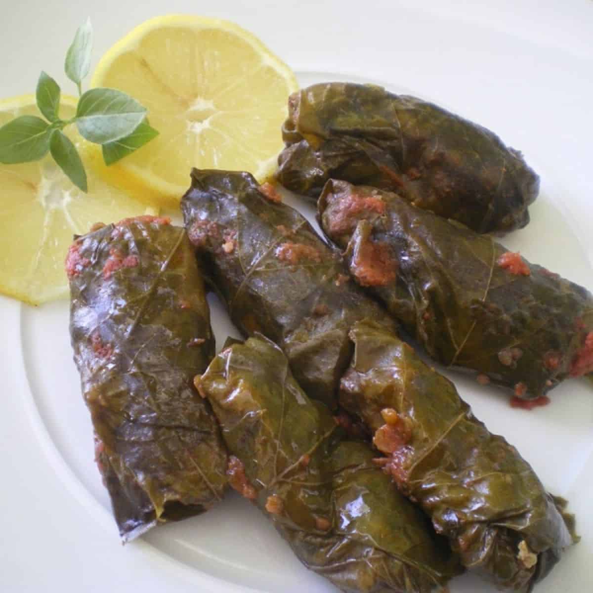 Cypriot koupepia in tomato sauce picture