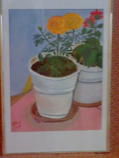 flowers in pot image