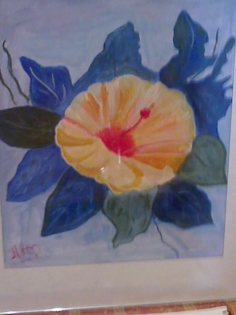  HIBISCUS image