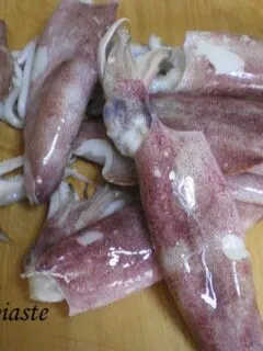kalamari calamari squid image