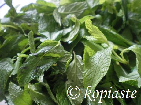 How to dry and preserve mint and other herbs