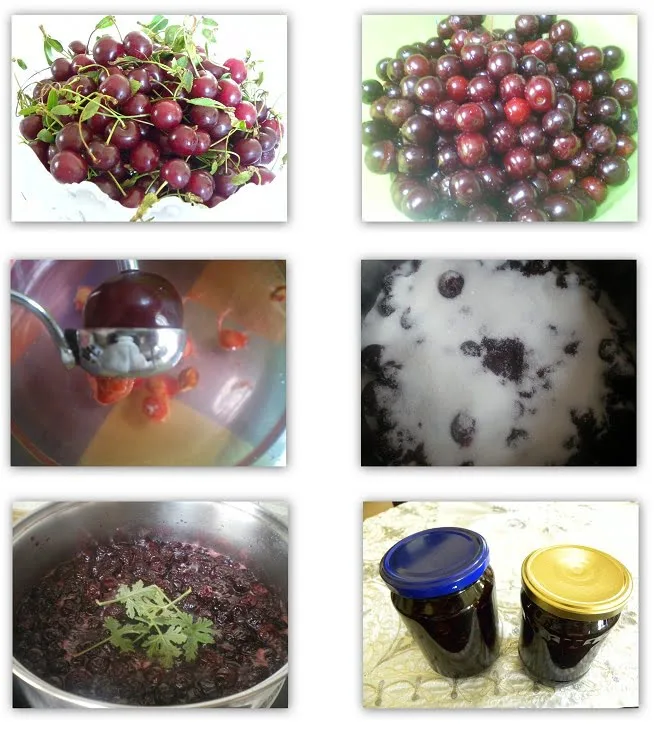 collage sour cherries