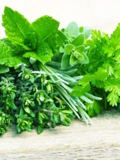 fresh herbs image