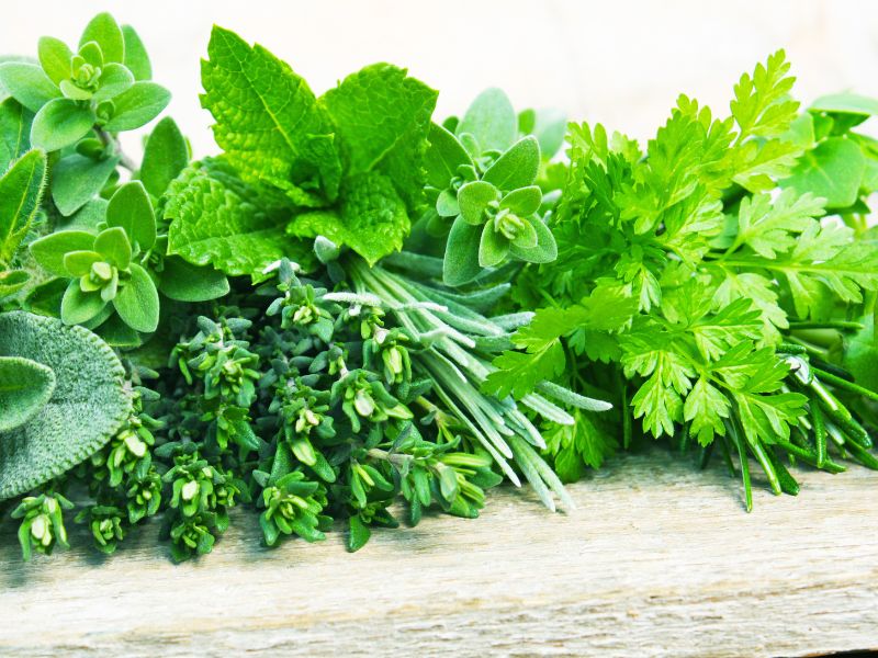 fresh herbs image