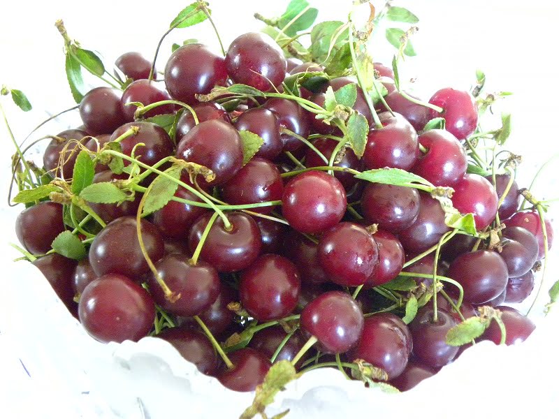 sour cherries - vyssino image