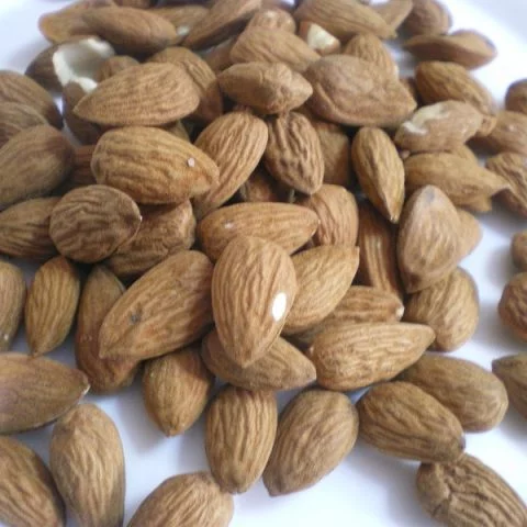 raw almonds image