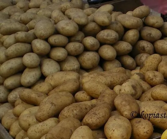 Easy – Low Calories – Baked Potatoes