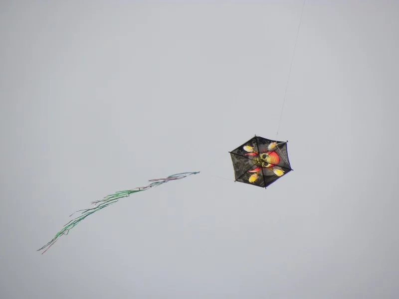 kite image