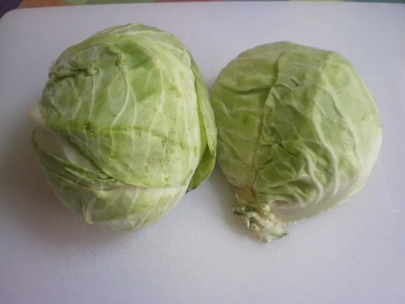 head of cabbage cut image