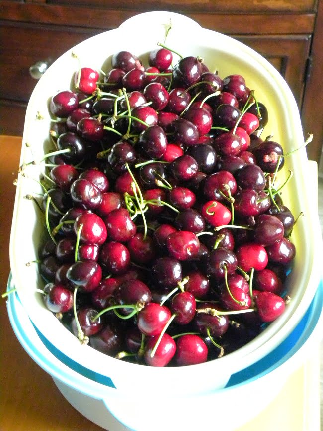 Cherries to be preserved image