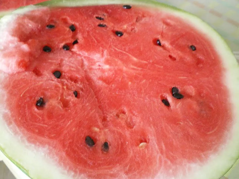 Thick skinned watermelon image