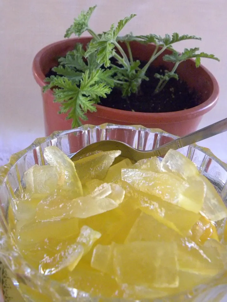 Watermelon rind with fragrant geranium image