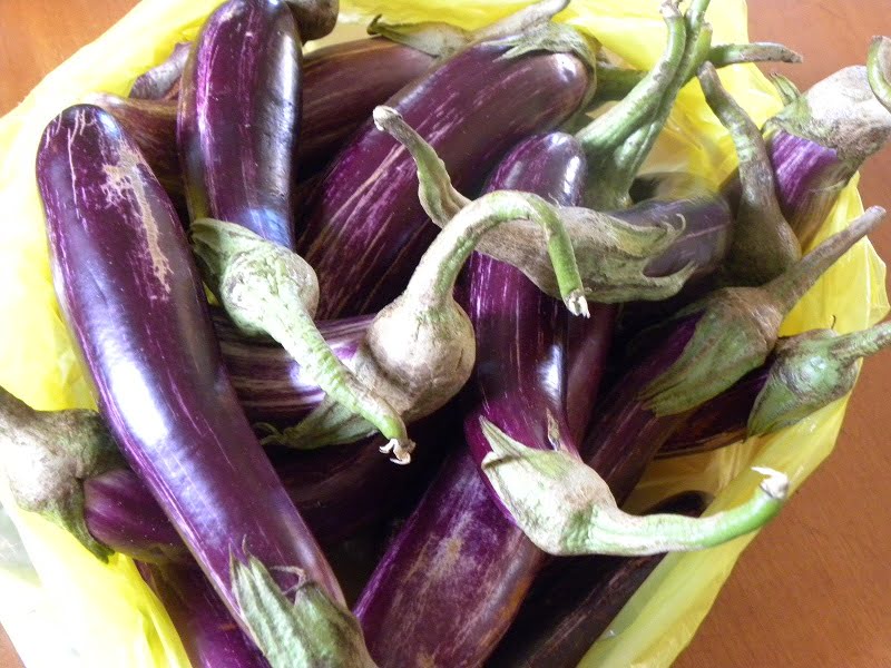 raw vazania eggplants image
