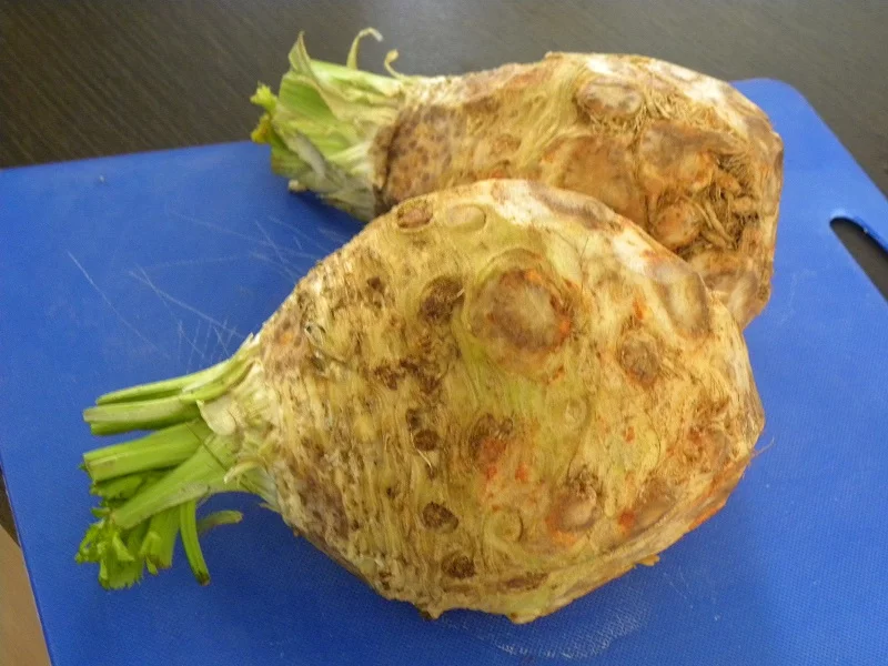 celery root picture
