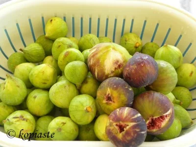 Ripe and unripe figs