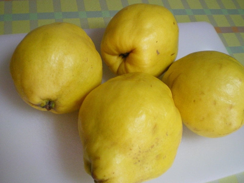 quince image
