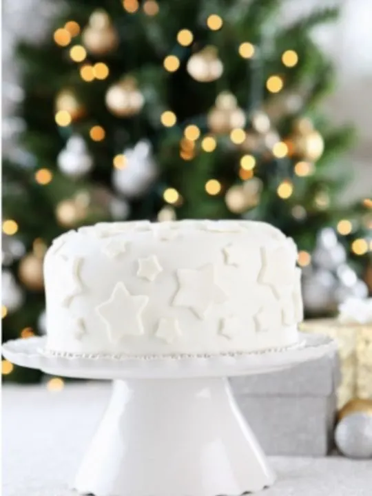 Christmas Fruit Cake