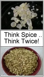Think spice logo image