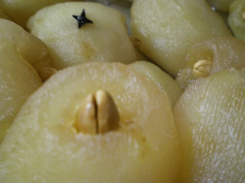 Toasted almond and clove in the apple image