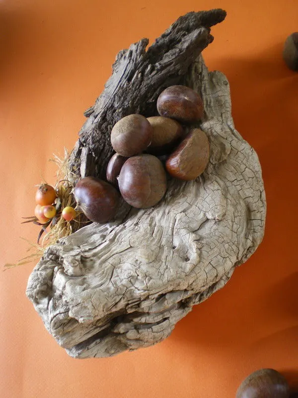chestnuts on log