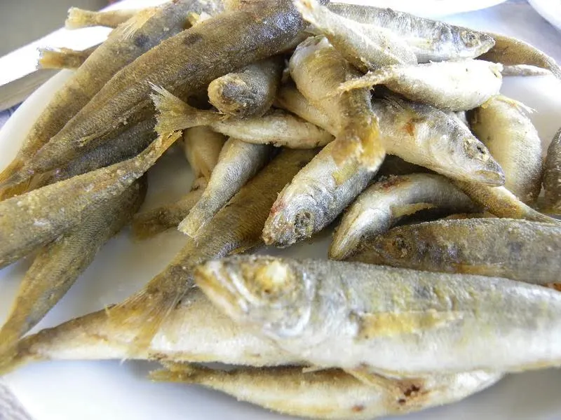 Fish Marida picarel image