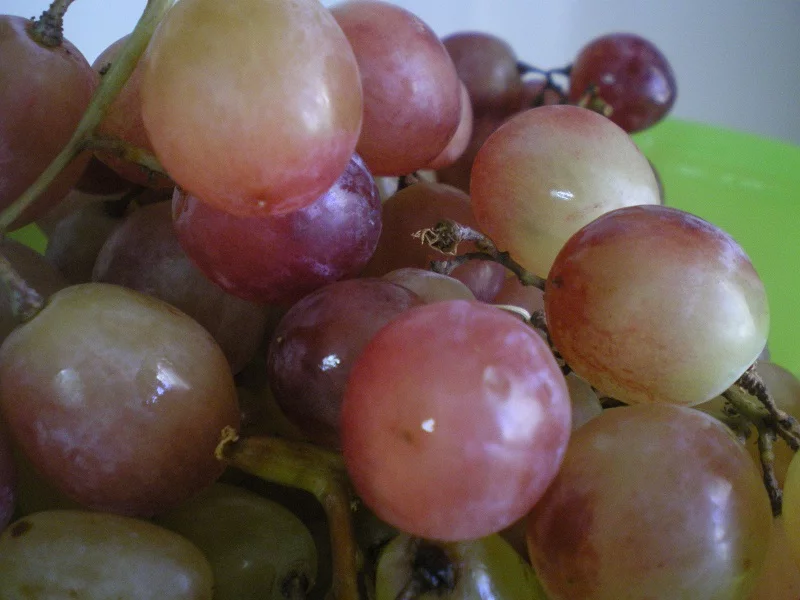 fraoula grapes image