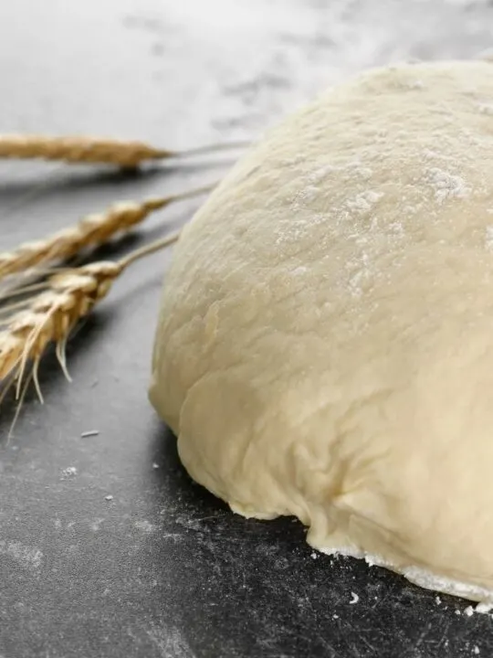 Easy Homemade Pizza Dough