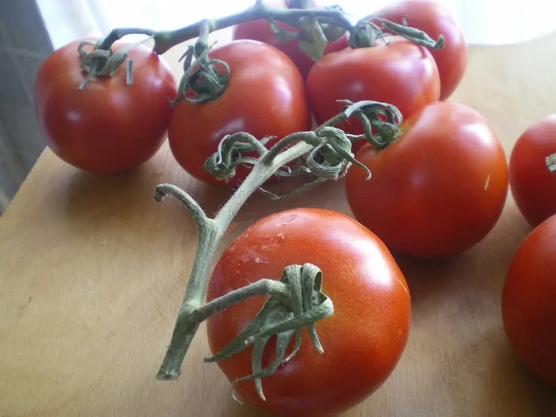 A bunch of tomatoes picture