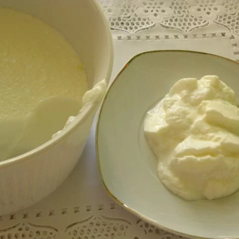 Yiaourti straggisto Greek Yoghurt image