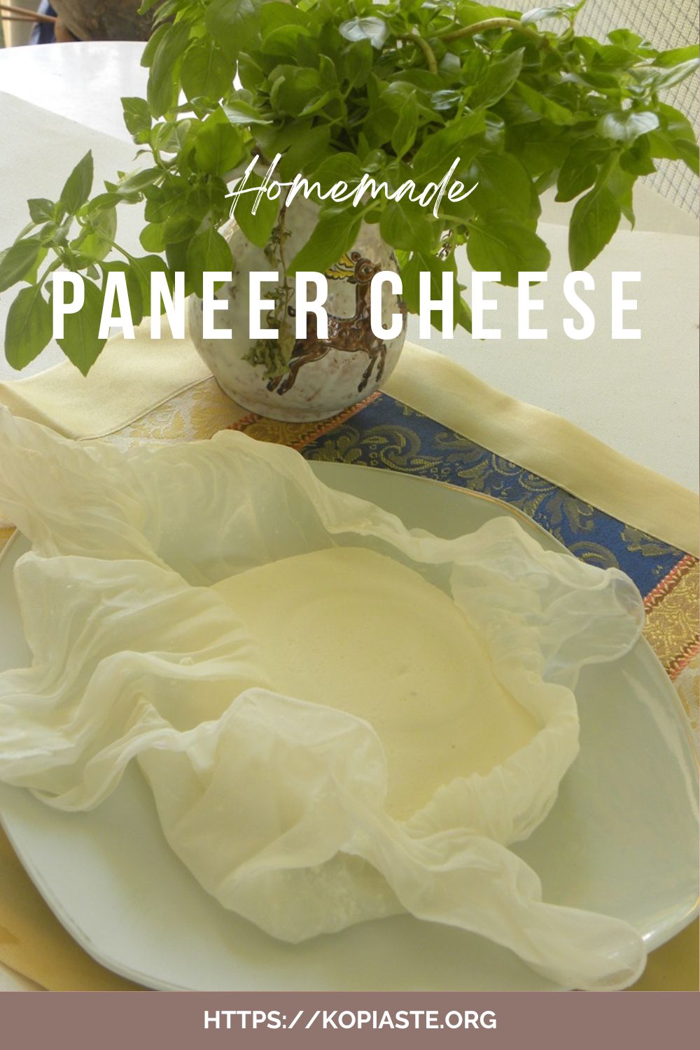Collage Homemade paneer cheese image