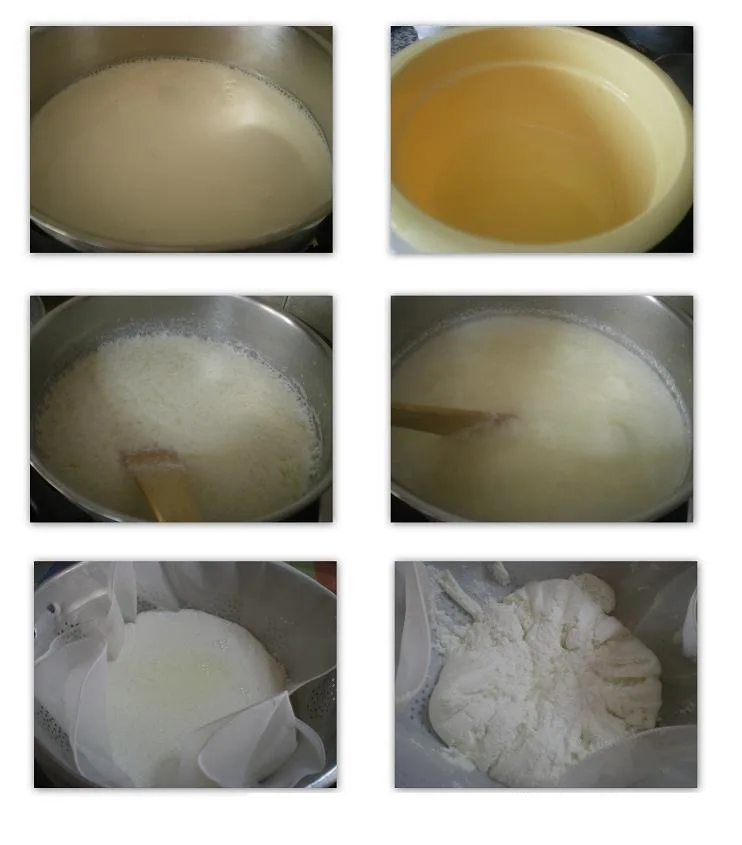 How to make Paneer Collage making Paneer cheese image