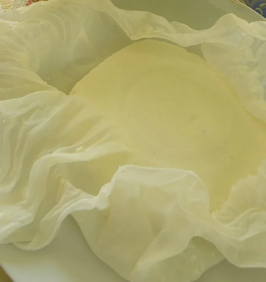 Homemade Paneer Cheese