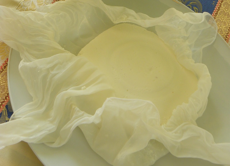 Homemade paneer cheese picture