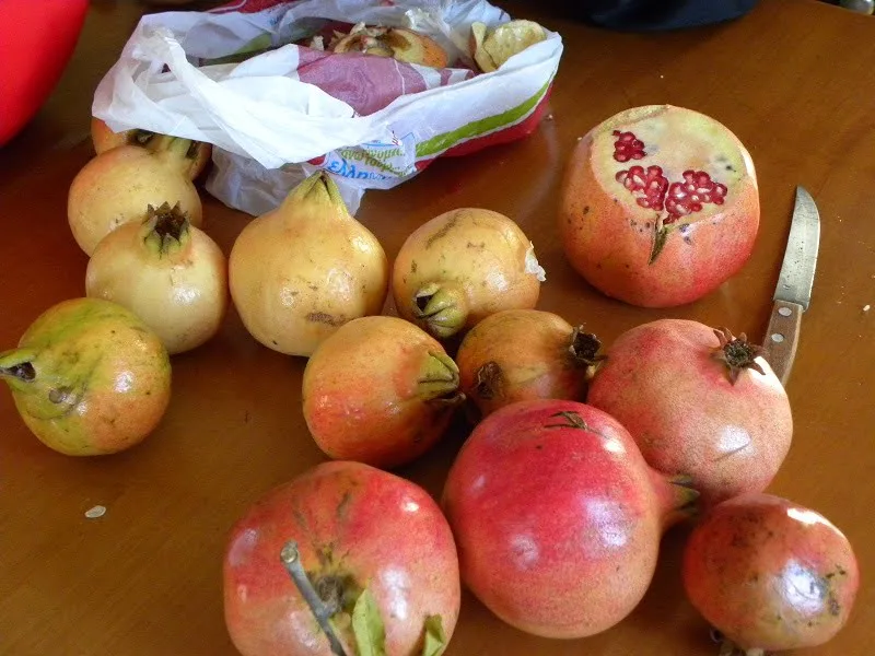 Pomegranate fruit image