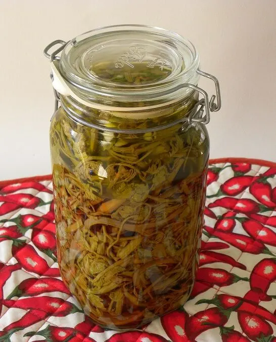 Pickled Vineyard Shoots