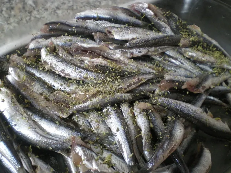 fresh anchovies image