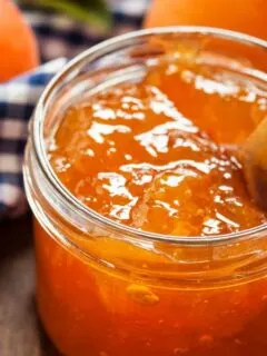 Apricot jam in a jar image