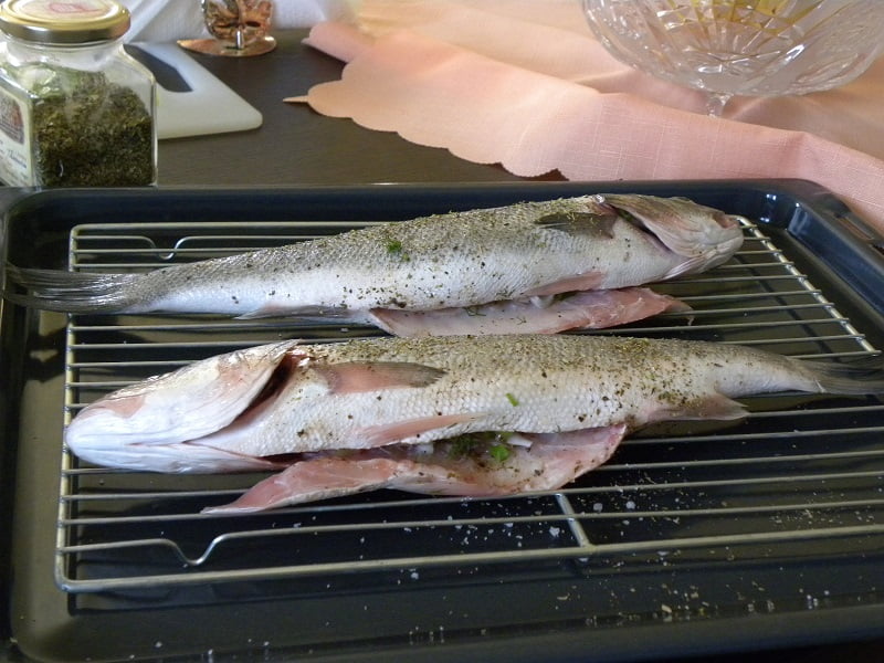 Lavraki psito sea bass ready to be grilled image