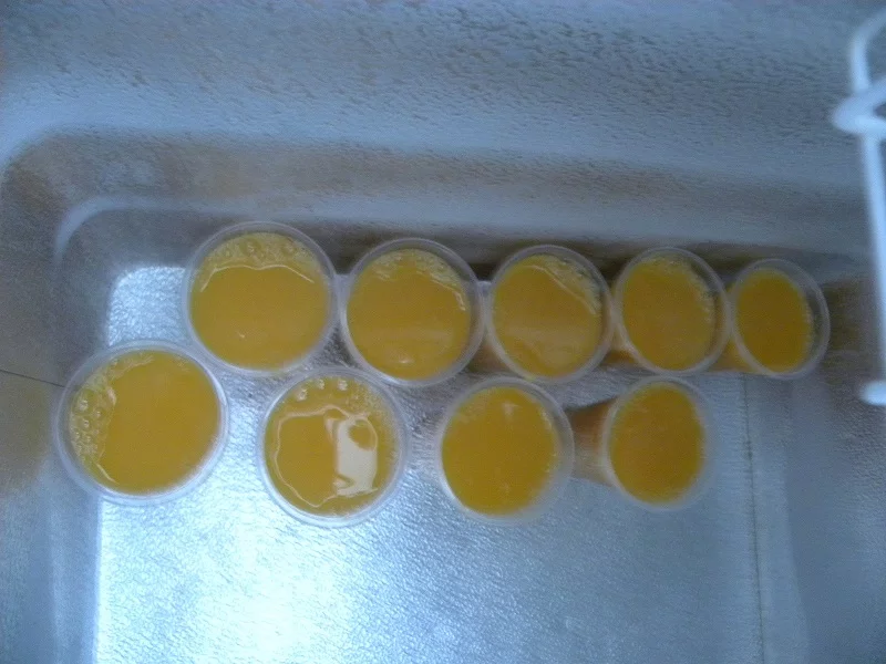 freezing lemon cups image