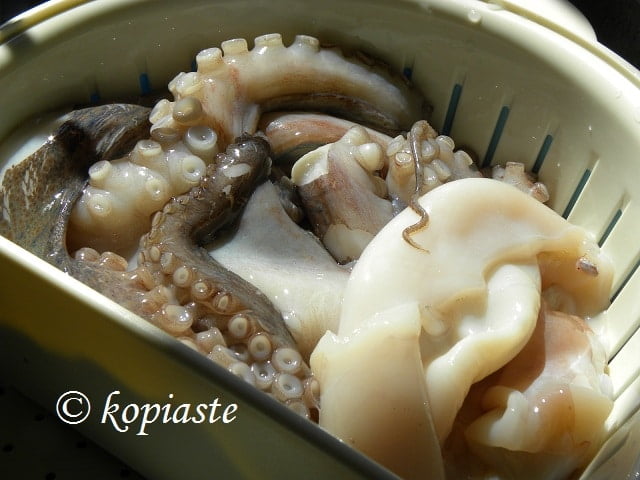 octopus htapodi
