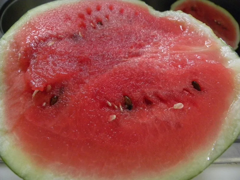 mini watermelon cut image