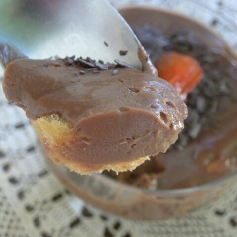Mousse like chocolate lemon posset image