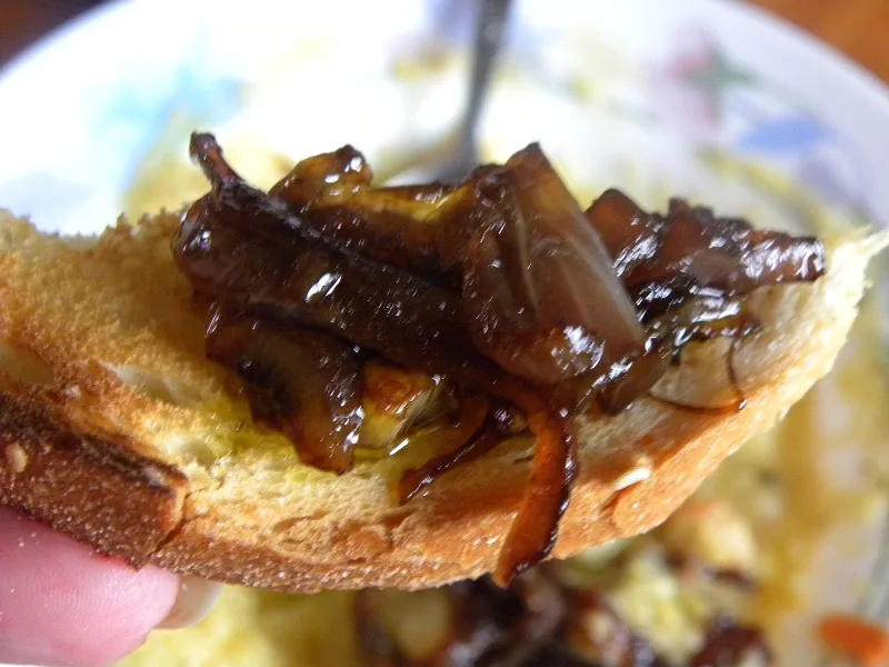 caramelized onions on bread image