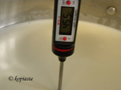 Thermometre in Milk