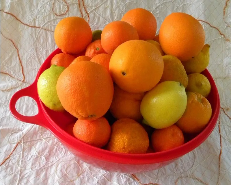 Citrus Fruit image