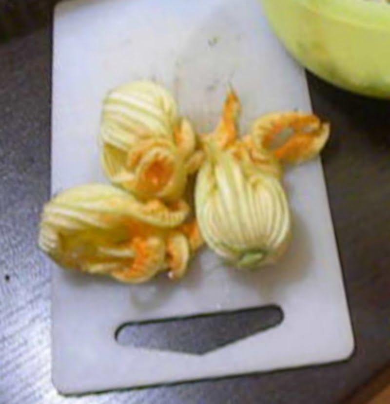 zucchini flowers image