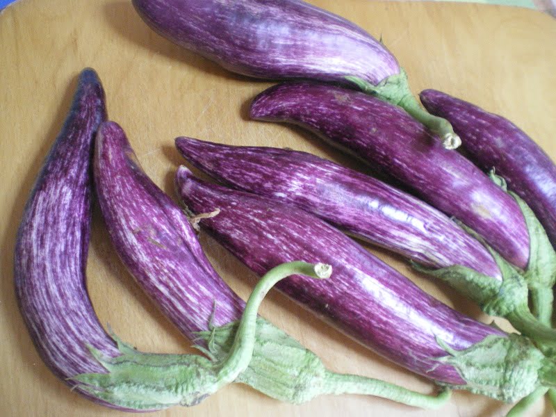 Melitzanes tsakonikes (eggplants) image