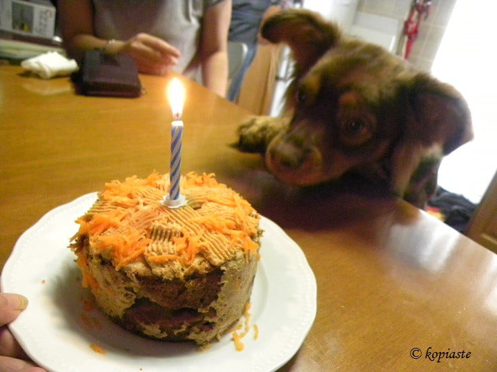 Carrot cake with lit candle