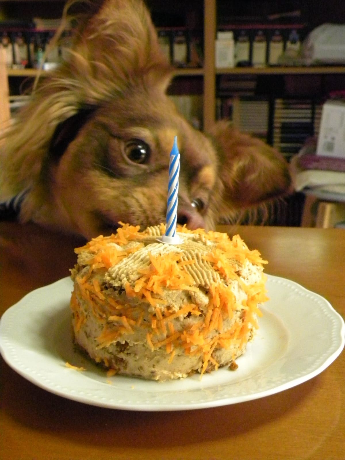 Carrot and Apple Doggie Cake with Frosting