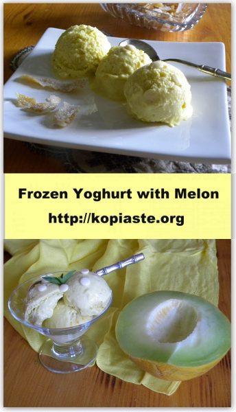  Melon and Yoghurt Frozen Smoothie